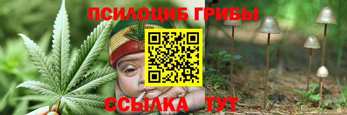 Галлюциногенные грибы мухоморы Фурманов
